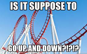 is it suppose to go up and down?!?!? - roller coaster | Meme Generator